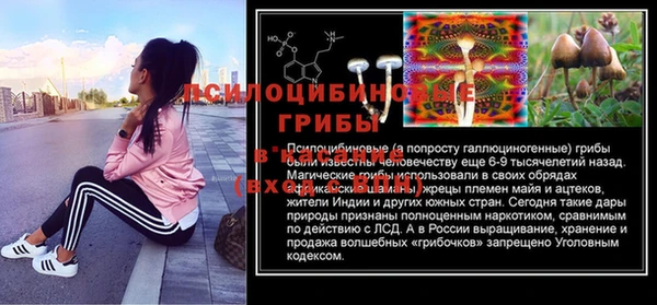 гидропоника Абаза